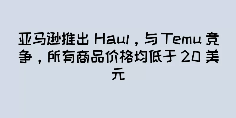 亚马逊推出 Haul，与 Temu 竞争，所有商品价格均低于 20 美元