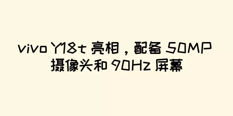 vivo Y18t 亮相，配备 50MP 摄像头和 90Hz 屏幕