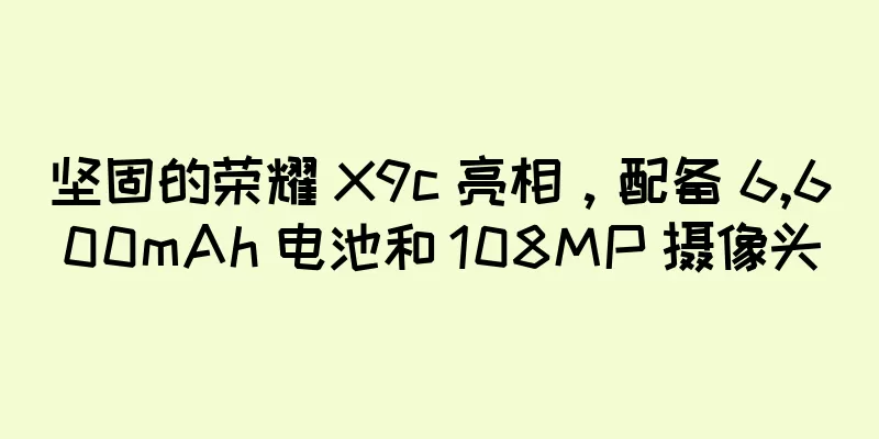 坚固的荣耀 X9c 亮相，配备 6,600mAh 电池和 108MP 摄像头