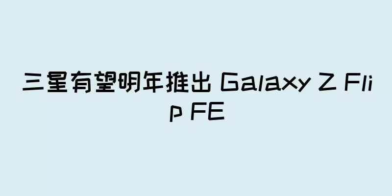 三星有望明年推出 Galaxy Z Flip FE