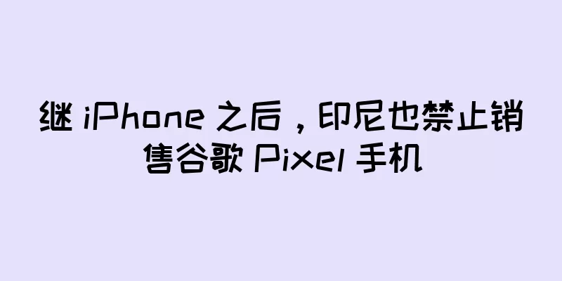 继 iPhone 之后，印尼也禁止销售谷歌 Pixel 手机