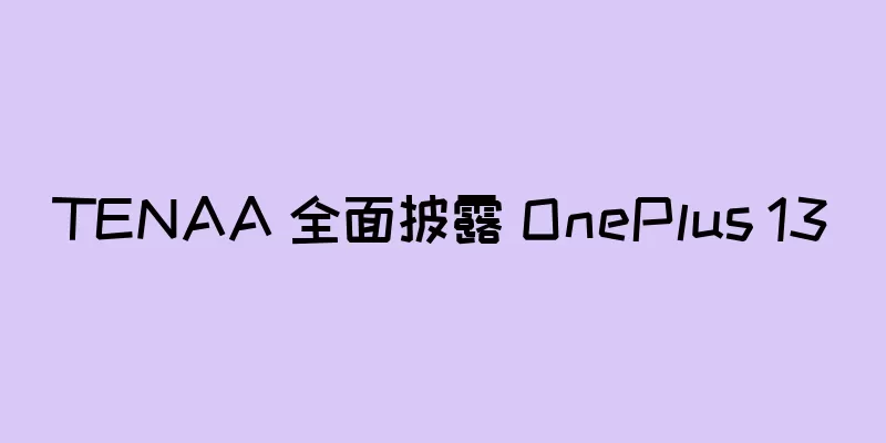TENAA 全面披露 OnePlus 13