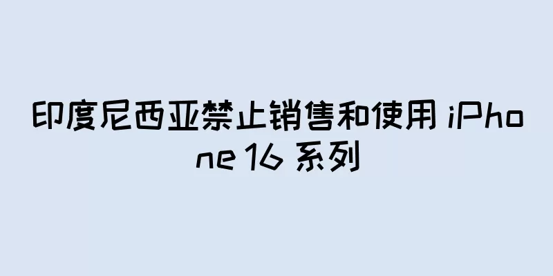 印度尼西亚禁止销售和使用 iPhone 16 系列