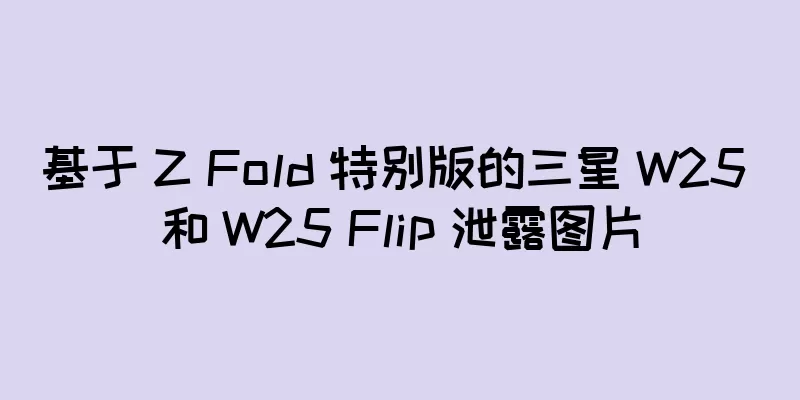 基于 Z Fold 特别版的三星 W25 和 W25 Flip 泄露图片