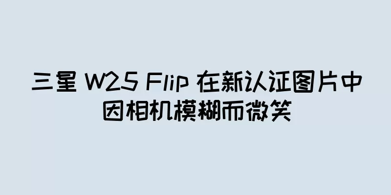 三星 W25 Flip 在新认证图片中因相机模糊而微笑