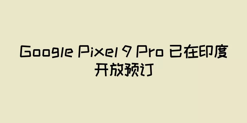 Google Pixel 9 Pro 已在印度开放预订