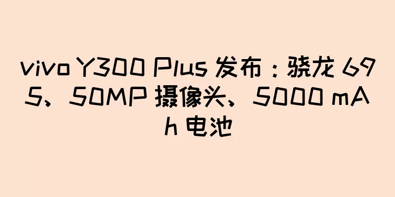 vivo Y300 Plus 发布：骁龙 695、50MP 摄像头、5000 mAh 电池