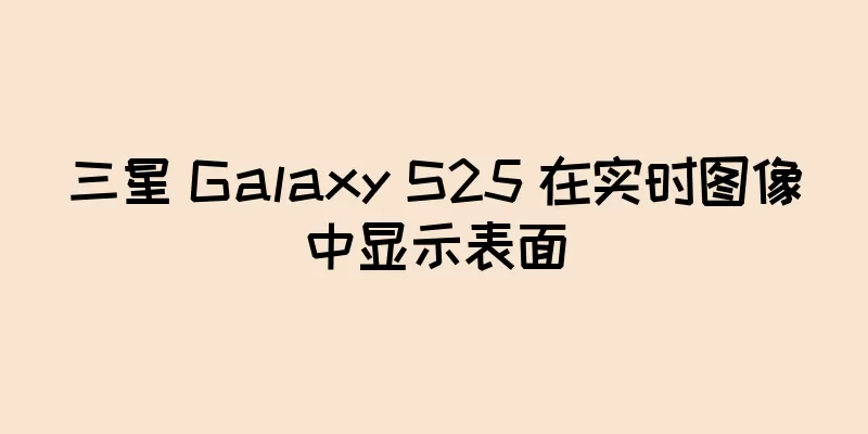 三星 Galaxy S25 在实时图像中显示表面