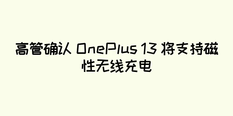 高管确认 OnePlus 13 将支持磁性无线充电