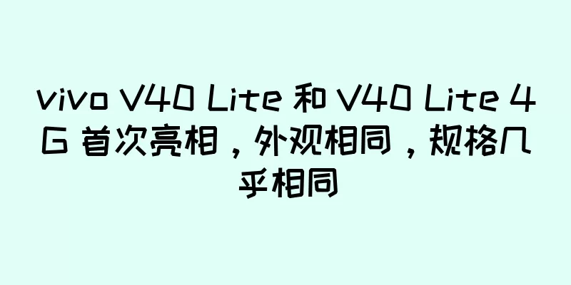 vivo V40 Lite 和 V40 Lite 4G 首次亮相，外观相同，规格几乎相同