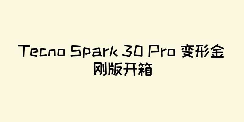 Tecno Spark 30 Pro 变形金刚版开箱