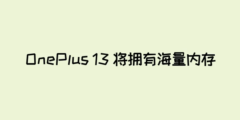 OnePlus 13 将拥有海量内存