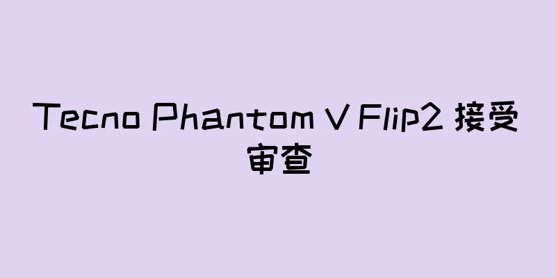 Tecno Phantom V Flip2 接受审查