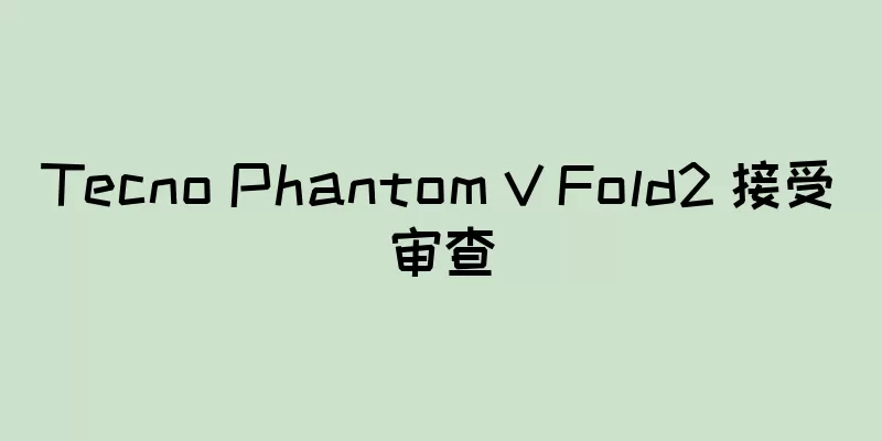 Tecno Phantom V Fold2 接受审查
