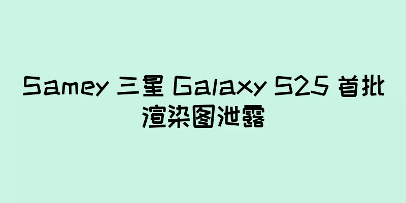 Samey 三星 Galaxy S25 首批渲染图泄露