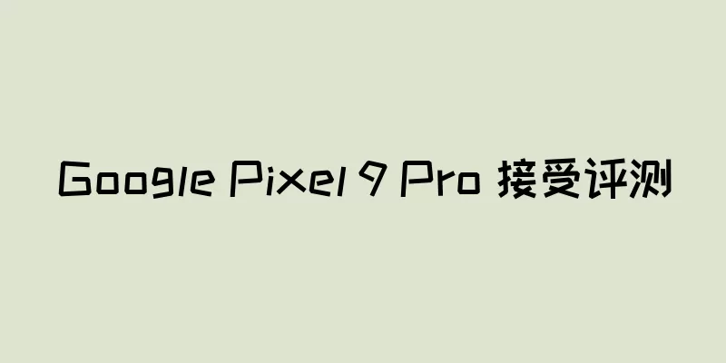 Google Pixel 9 Pro 接受评测